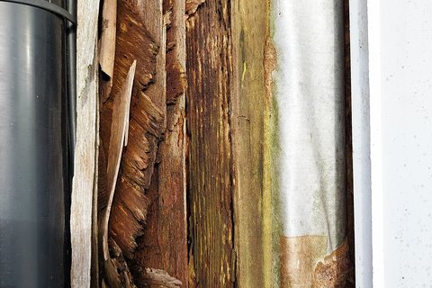 Damage to our branch