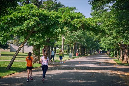 Cheltenham park run