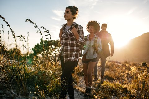 Dawn Walk - cover image