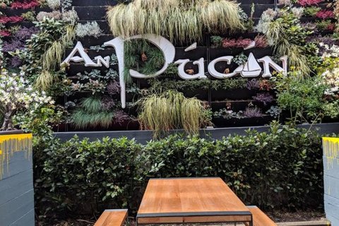 Pucan Galway