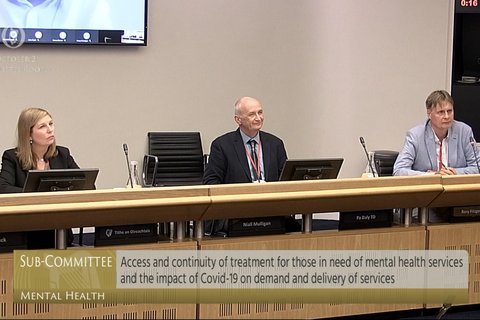 Samaritans Ireland Representatives before Sub-Committee on Mental Health