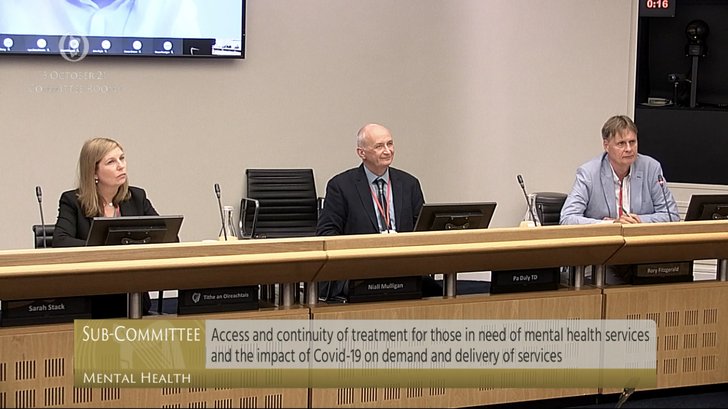 Samaritans Ireland Representatives before Sub-Committee on Mental Health