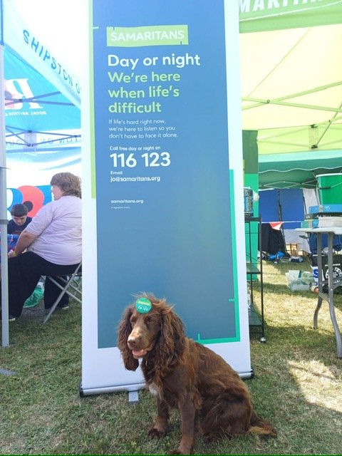 Doggy volunteer enjoying her day out