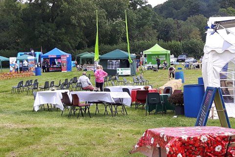 Dassett 4.jpg