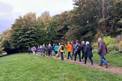 Dawn walk featured image