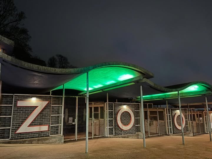 Dudley Zoo, helped shine a light on the longest night.