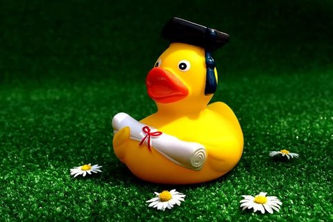 Graduate rubber duck.webp