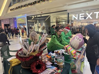 Samaritans volunteers wrapping Christmas gifts in County Mall, Crawley