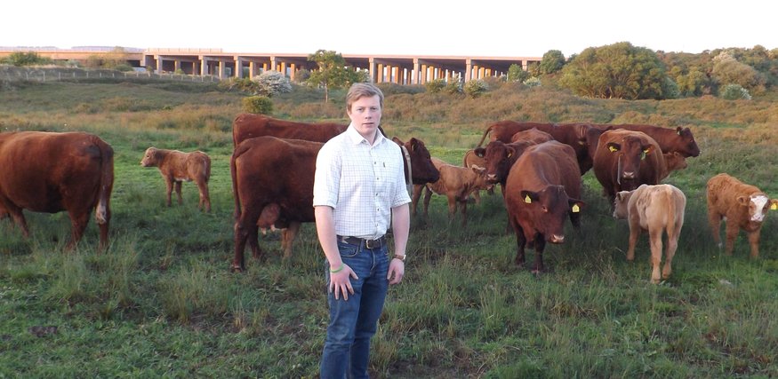 Morgan, Chartered Surveyor and Agricultural Valuer