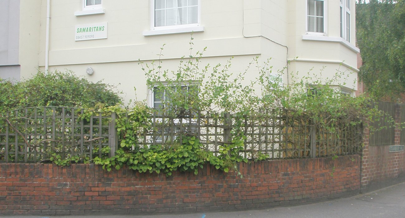 Our branch