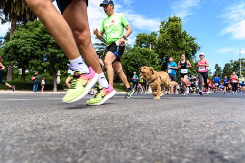 Poochathon