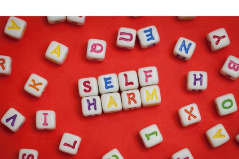 SHAD (9)