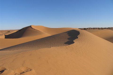 Sahara Trek 1