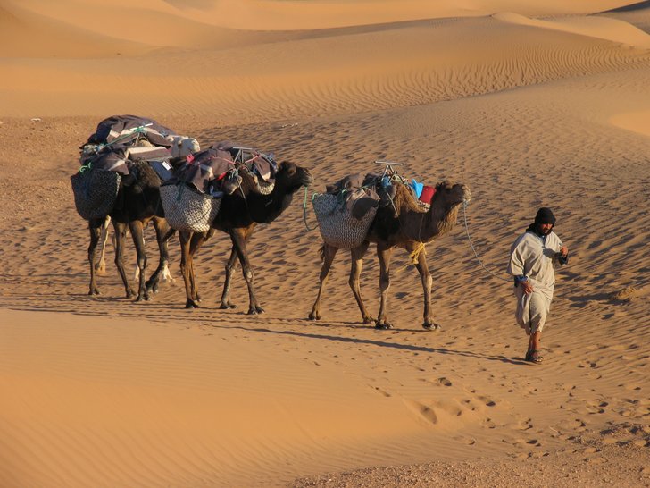 Sahara Trek 8