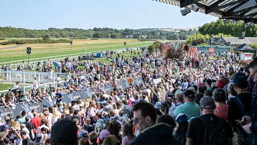 Scottish Half Marathon 2025 144