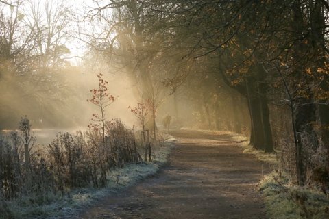 Christ Church Meadow