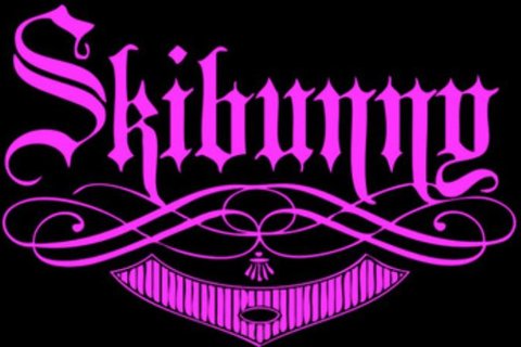 Skibunny logo