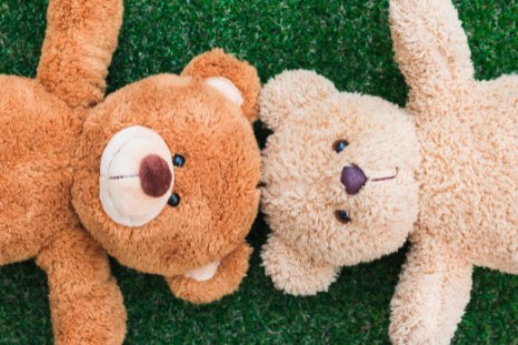 Teddy 2