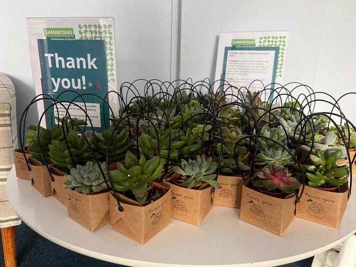 Thank you succulents