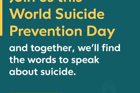 WSPD_branches_1080x1080_1.width-500