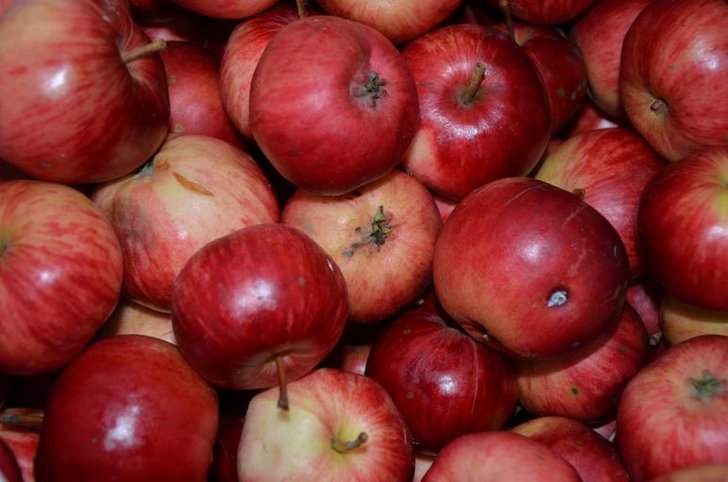 apples