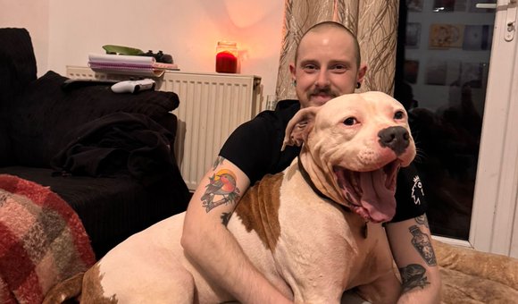 cec1582b-e5bf-4721-8b49-8547d68d0e0c - Harrison