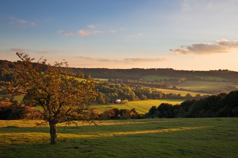 chiltern no logos.jpg