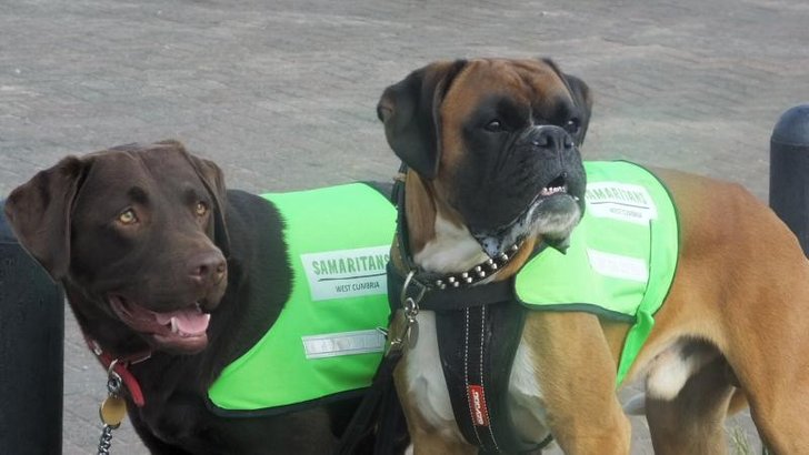 coast-coastdogs.jpg