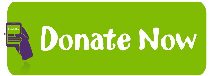 Donate Now Button