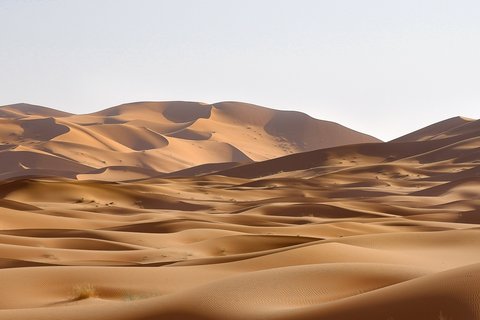 emma-van-sant-GkIGSLW04Nc-unsplash