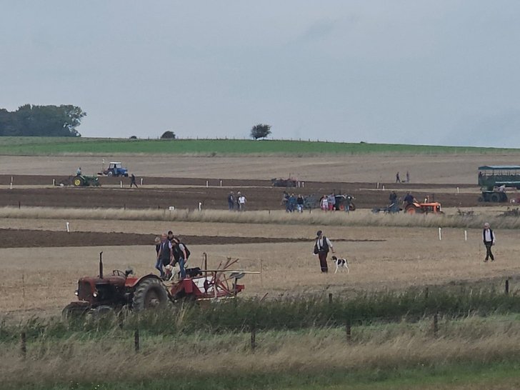 field