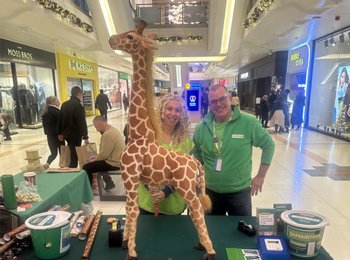 wrapped giraffe