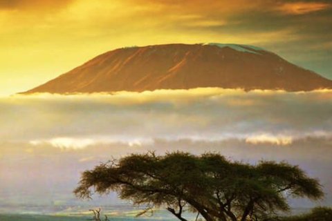 kilimanjaro