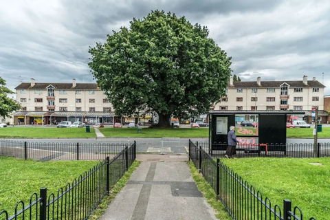 matson-precinct-1