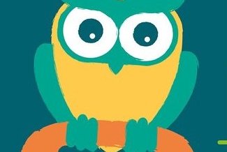Night Owl