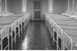 rows of beds