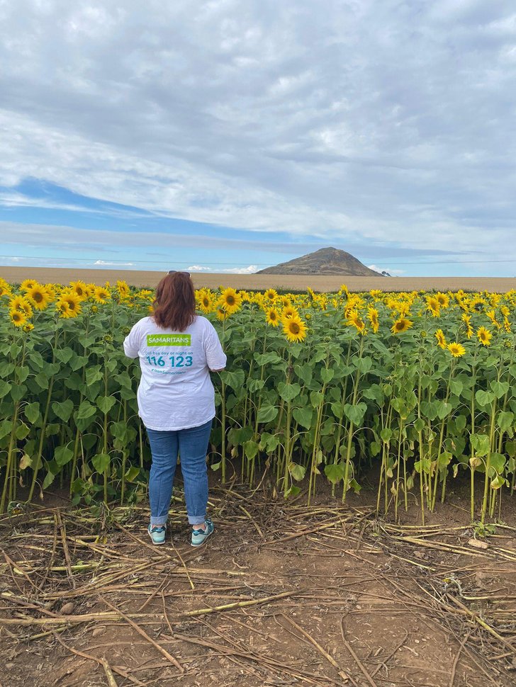 Sunflower Trail