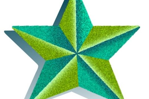 Christmas star