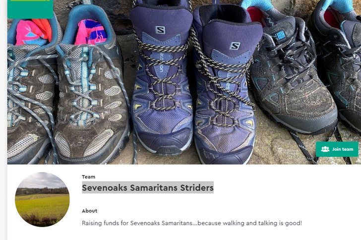 striders
