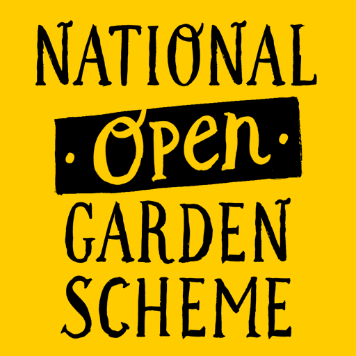 NGS-Yellow.png