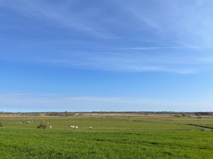 walk country